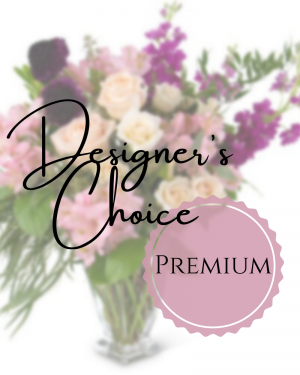 Designer's Choice - Premium