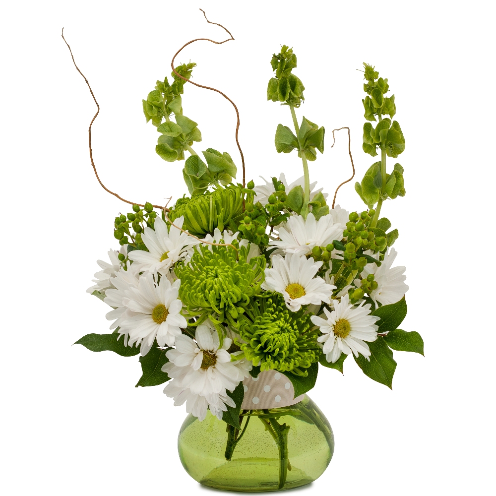 Tim's Touch Florist, Gifts & Flower Delivery Dots and Daisies