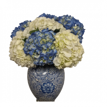 Southern Blue - SOLD OUT