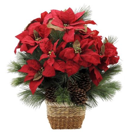 Natural Poinsettia Deluxe  