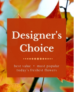 Designer's Choice - Medium
