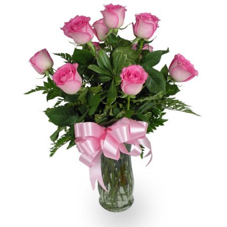 Dozen Pink Roses 