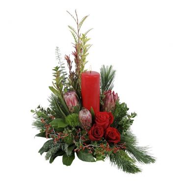 Protea Perfection Red