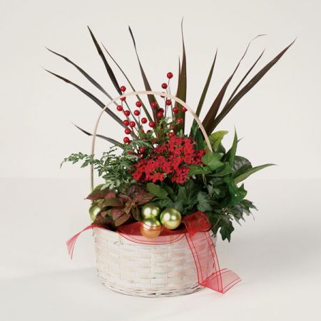 Merry Christmas Garden