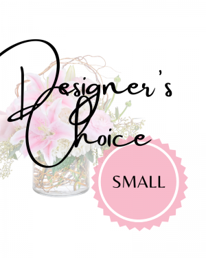 Designer's Choice - Small 