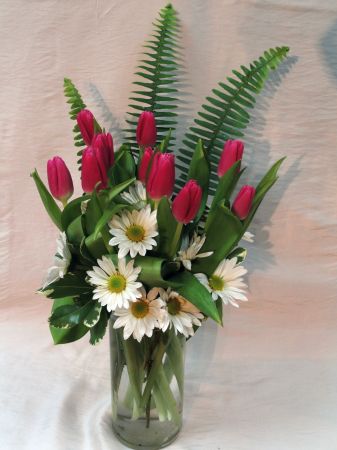 Tulips Delight