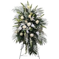 Peaceful Solace Spray