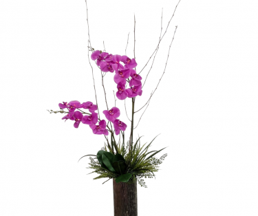 Contemporary Purple Orchid - Tall