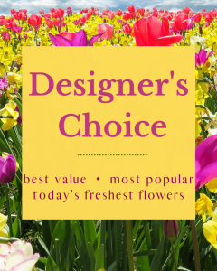 Designer's Choice - Spring