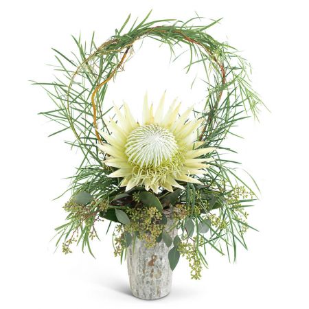Wild Child Protea