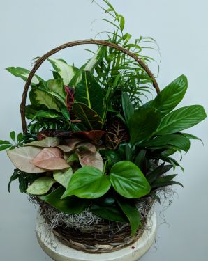 European Garden Basket - Medium - SOLD OUT