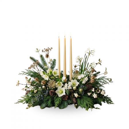 Woodland Winter Solstice