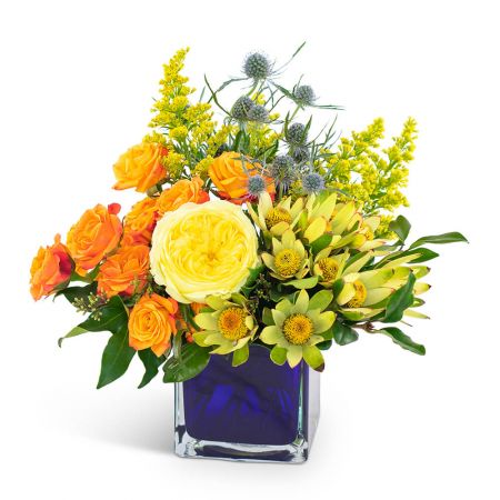 Bloom Bright
