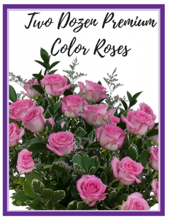 Two Dozen Premium Roses   - 5 Colors to choose from!