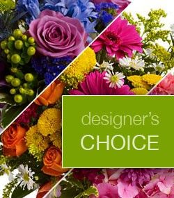 Designers Choice