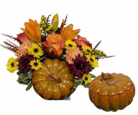 Pumpkin Harvest