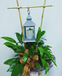 Small Plant and Memory Lantern - temporarily sold out