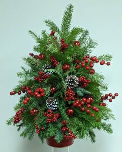 Carolina Christmas Tree