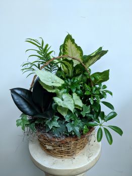 European Garden Basket - Small