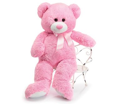 Pink Blushing Bear