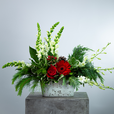 Winter Gardens Centerpiece