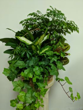 European Garden Basket Extra-Large 