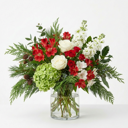 Evergreen & Winter Bloom Radiance