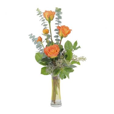 Orange Simplicity