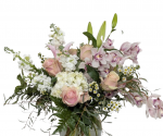 Orchids and Blooms