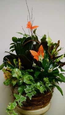 Butterfly Garden Basket - Medium 