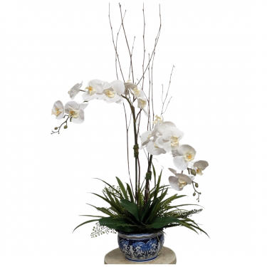 Blue & White Chinoiserie Orchid