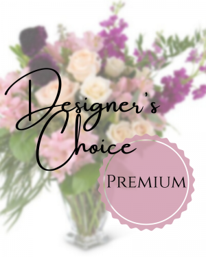 Designer's Choice - Premium 
