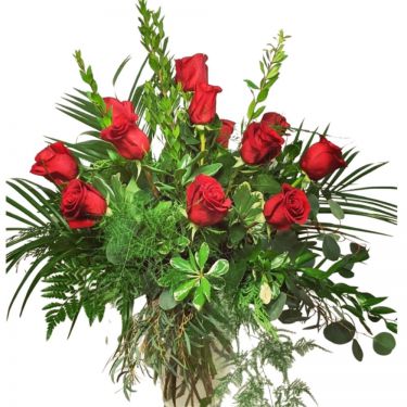 Classic Dozen - 5 colors available