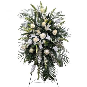 Peaceful Solace Spray