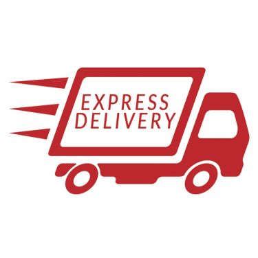 Express Delivery by 1:30 PM